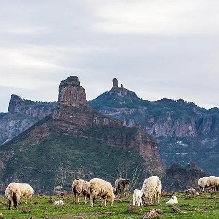 Будинок відпочинку Seaview Duna Golf *