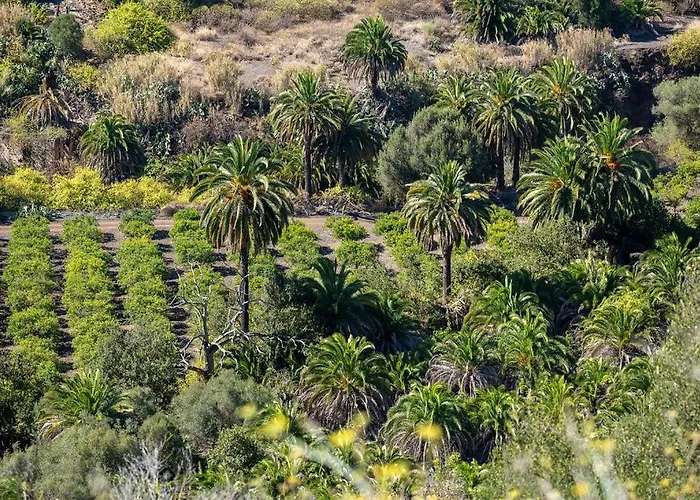 Seaview Duna Golf Tatil Evi Playa del Ingles (Gran Canaria)