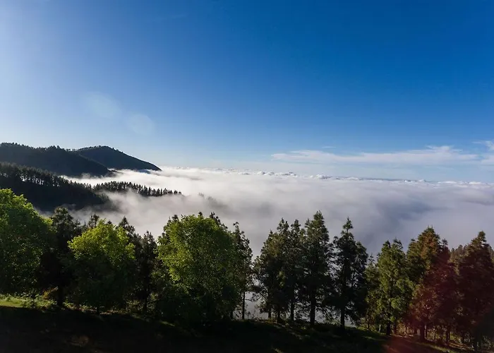 Seaview Duna Golf Будинок відпочинку