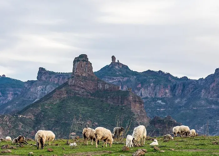 Дом отдыха Seaview Duna Golf *